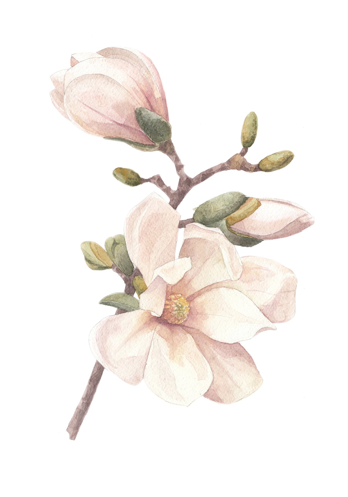 Poster Kirschblüte aus hochwertigem Papier