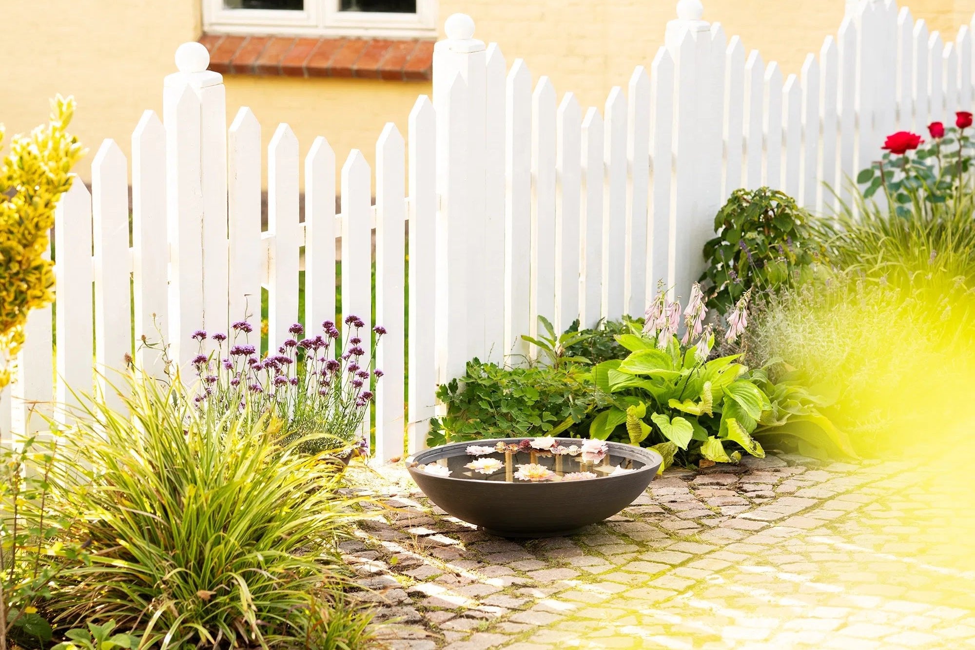Garten Wasserschale Aldrenor – stilvolle Pflanzenschale in Dunkelgrau