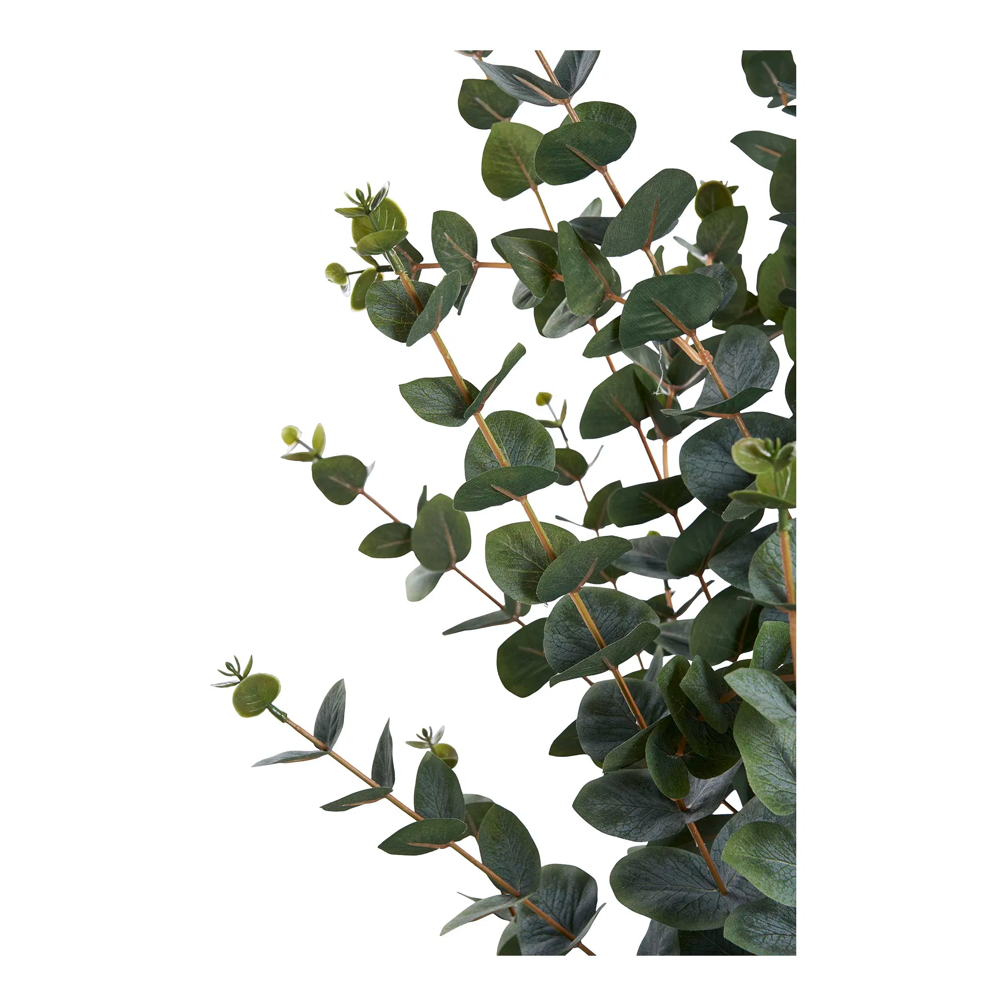 Kunstpflanze Eukalyptus – 120 cm eleganter Blattschmuck für dein Zuhause