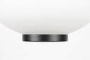 ZUI-10277.03#rawq1:4
