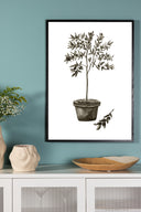 Poster Mediterranean made of high-quality paper