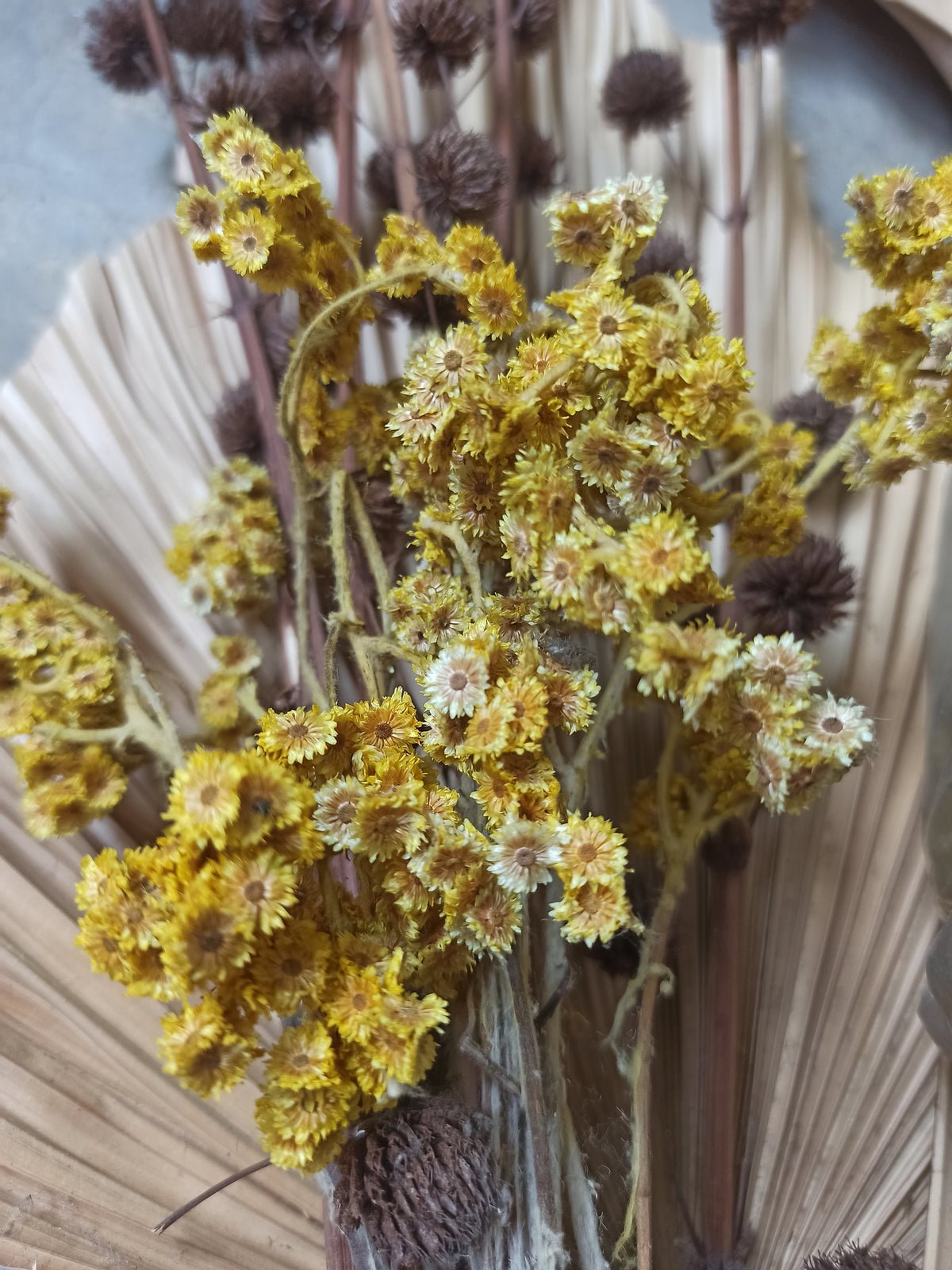 Poster Flora made of high-quality paper