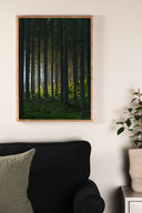 Poster Black Forest made of high-quality paper