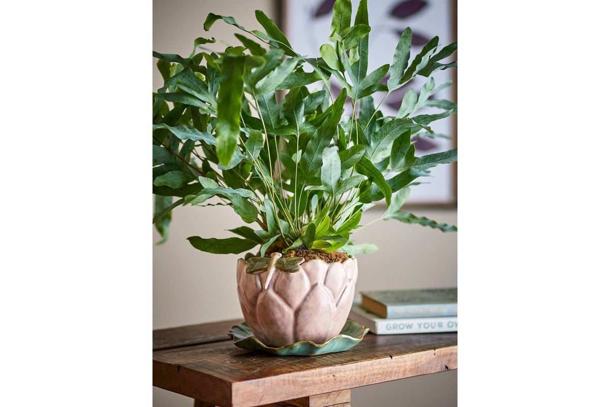 Flower Pot Water Lily – Stoneware with Saucer