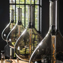 Pendant lamp Noira – Smoke glass shades in Arctic Black (4-light)