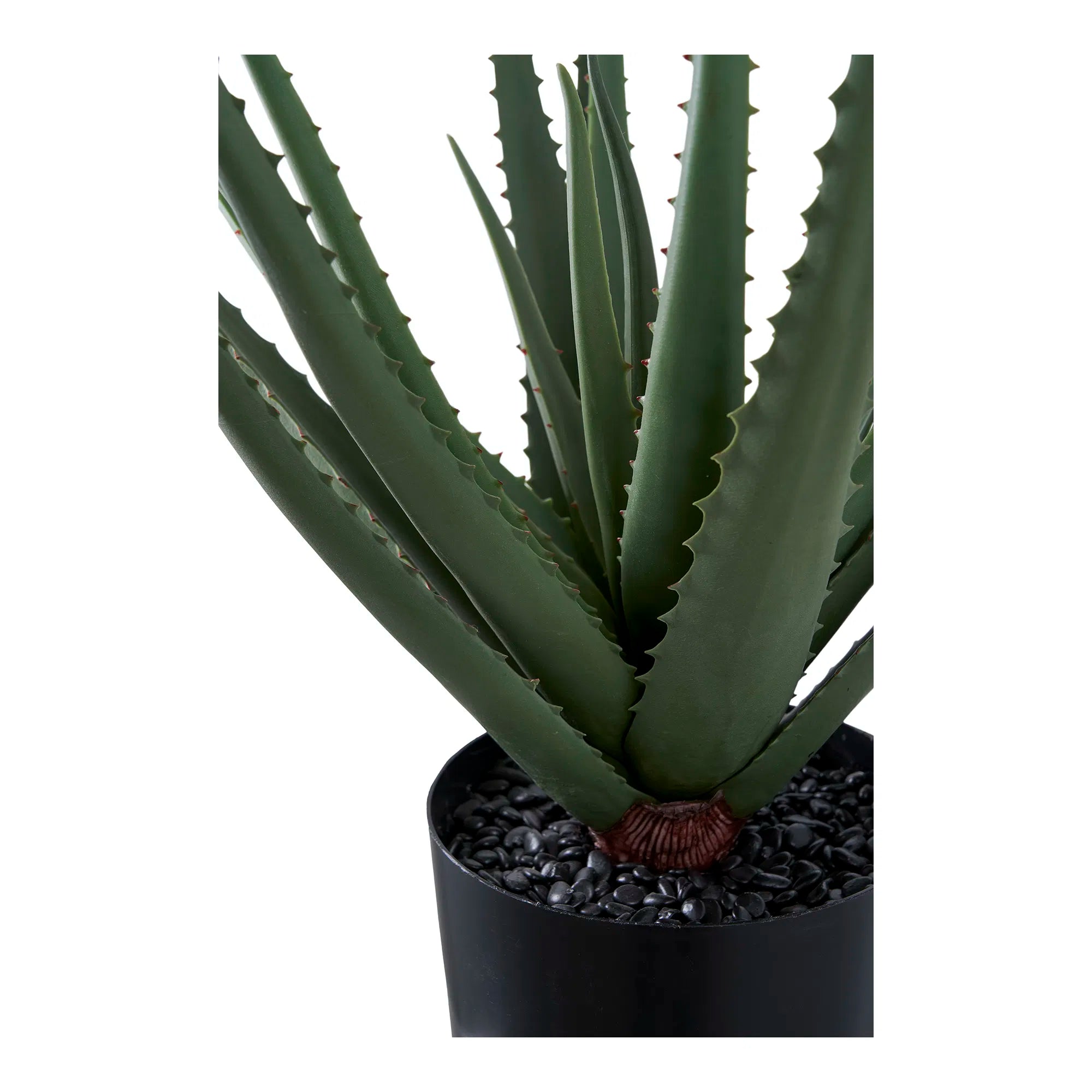 Artificial Aloe Vera Plant – 51 cm, low-maintenance classic in a modern look