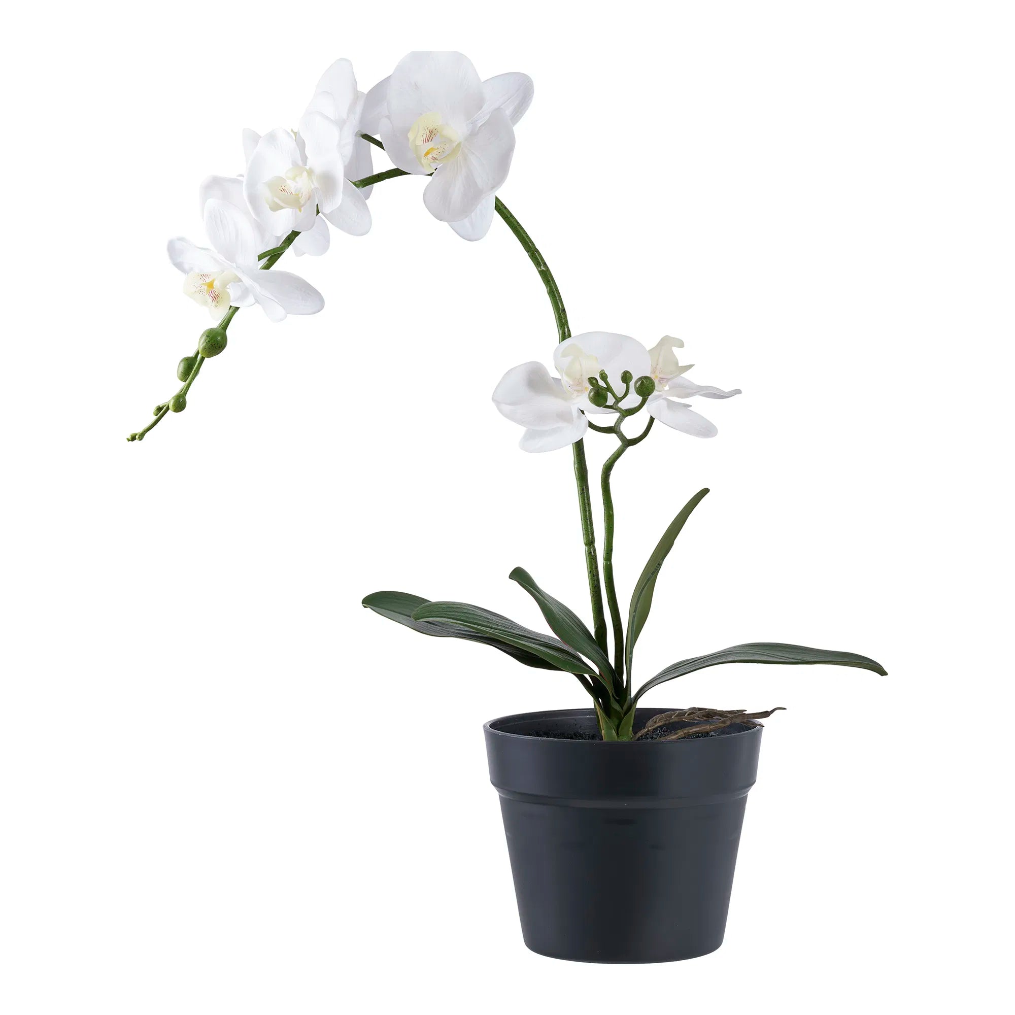 Artificial Orchid Plant – 49 cm of elegant floral splendor for stylish rooms