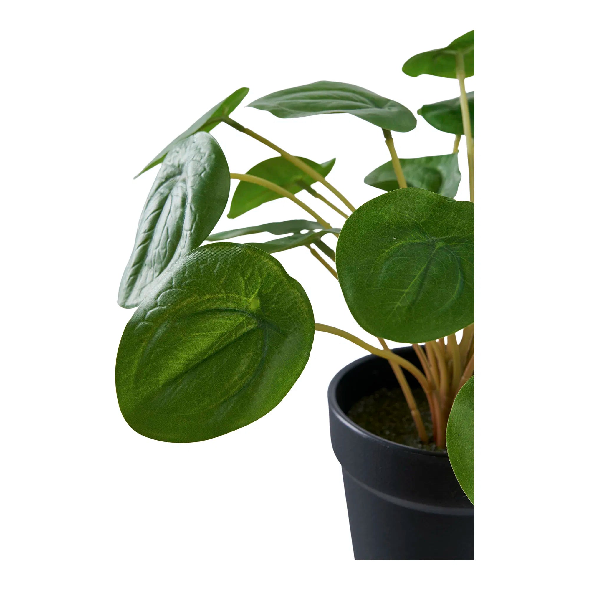 Kunstpflanze Pelia – 28 cm dekorative Frische im Miniformat