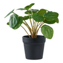 Kunstpflanze Pelia – 28 cm dekorative Frische im Miniformat
