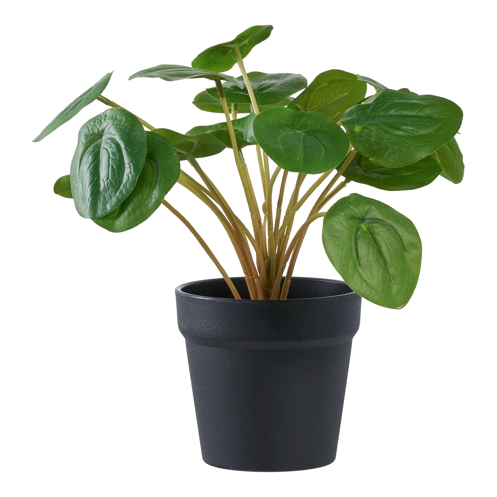 Artificial Plant Pelia – 28 cm of Decorative Freshness in Miniature Format