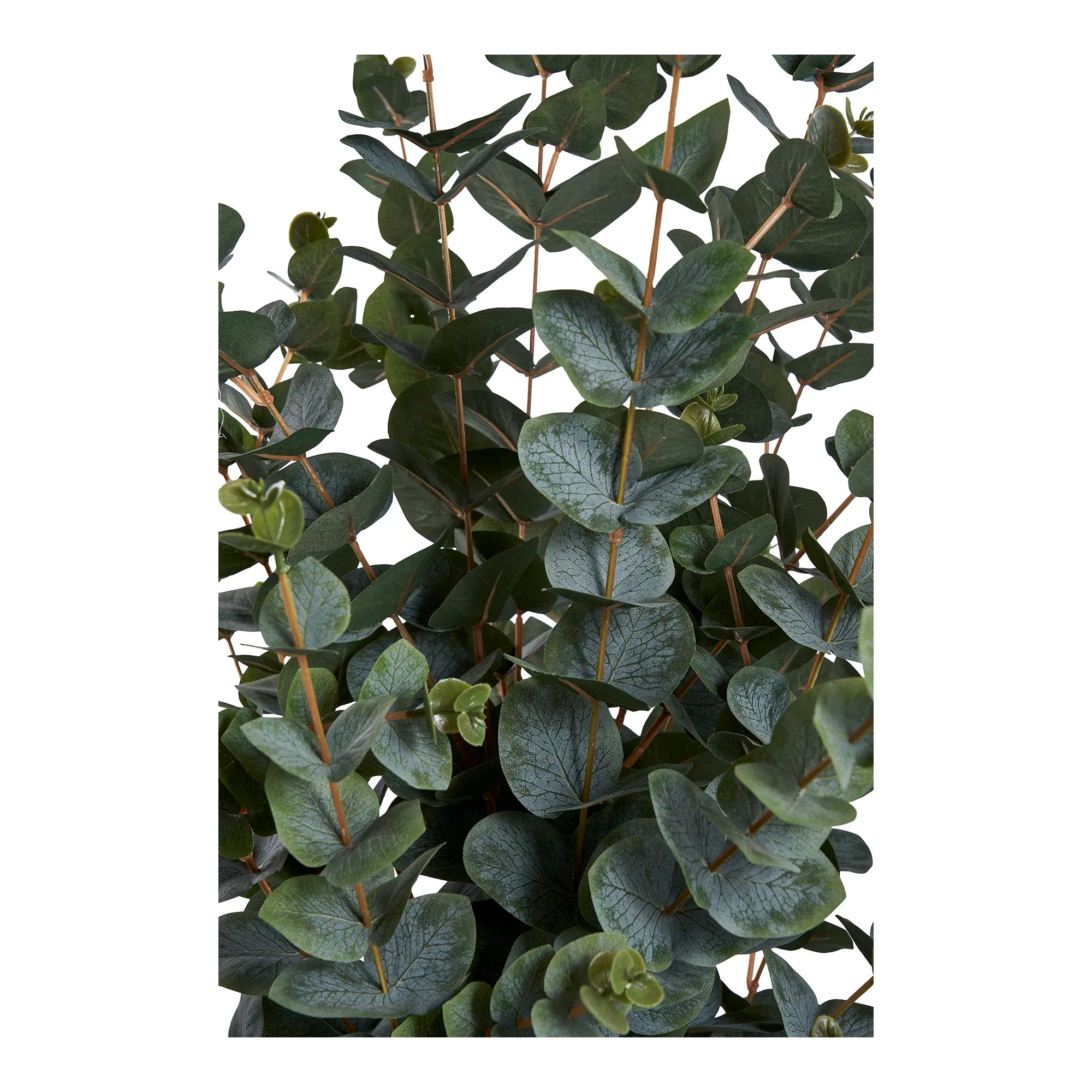 Artificial Eucalyptus Plant – 120 cm elegant foliage for your home