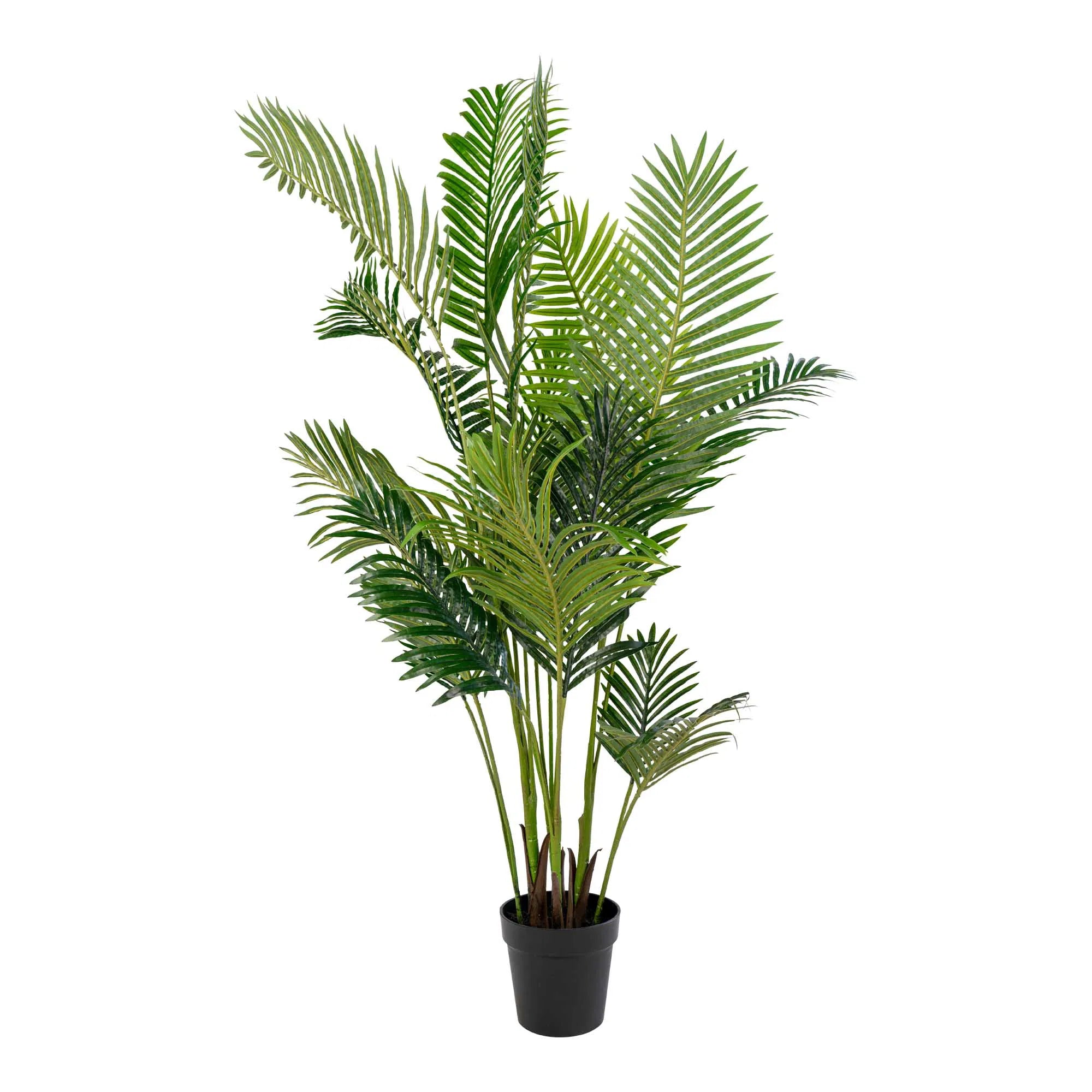 Artificial Areca Palm – 175 cm Tropical Flair for Stylish Spaces