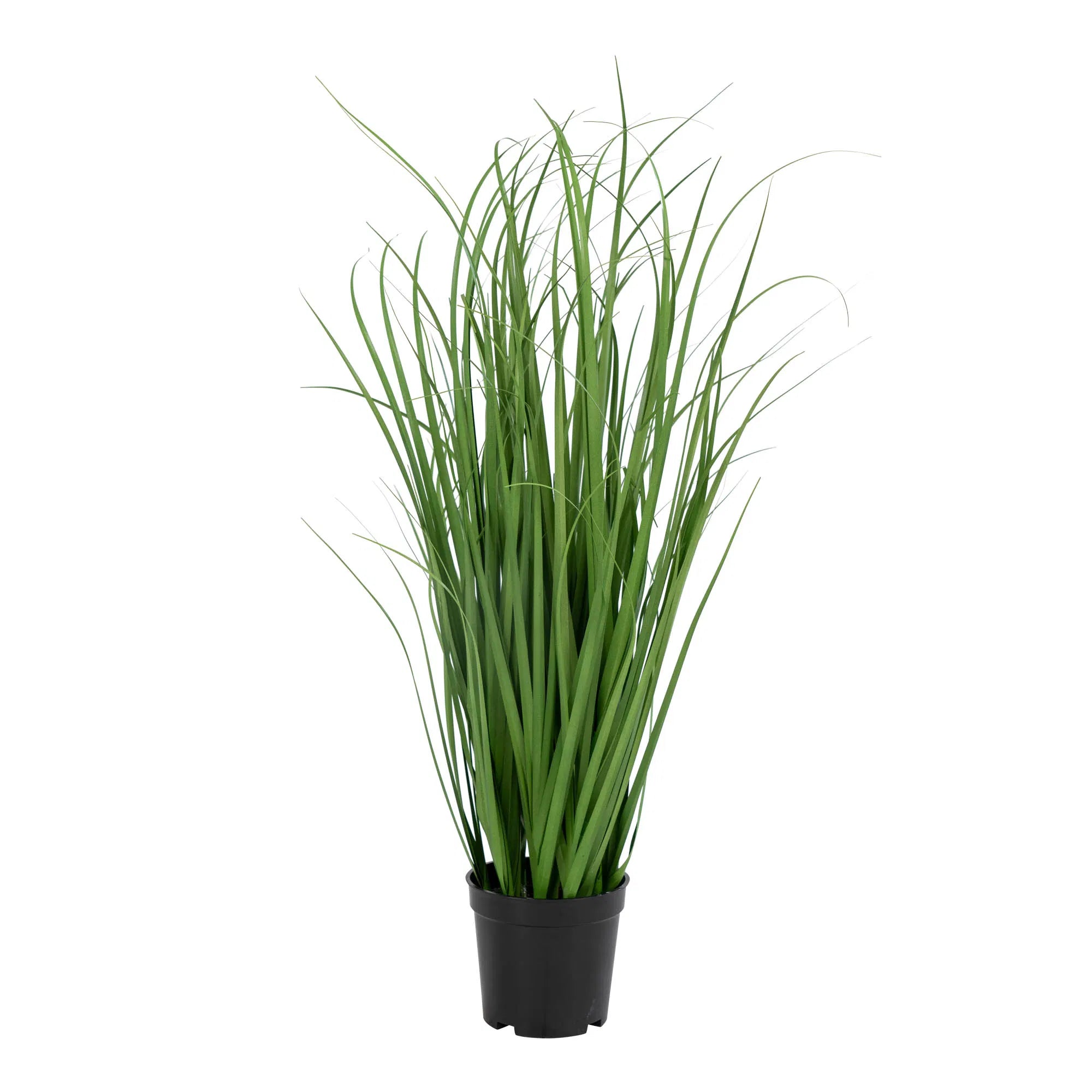 Artificial Poa Grass Plant – 68 cm airy look for modern spaces