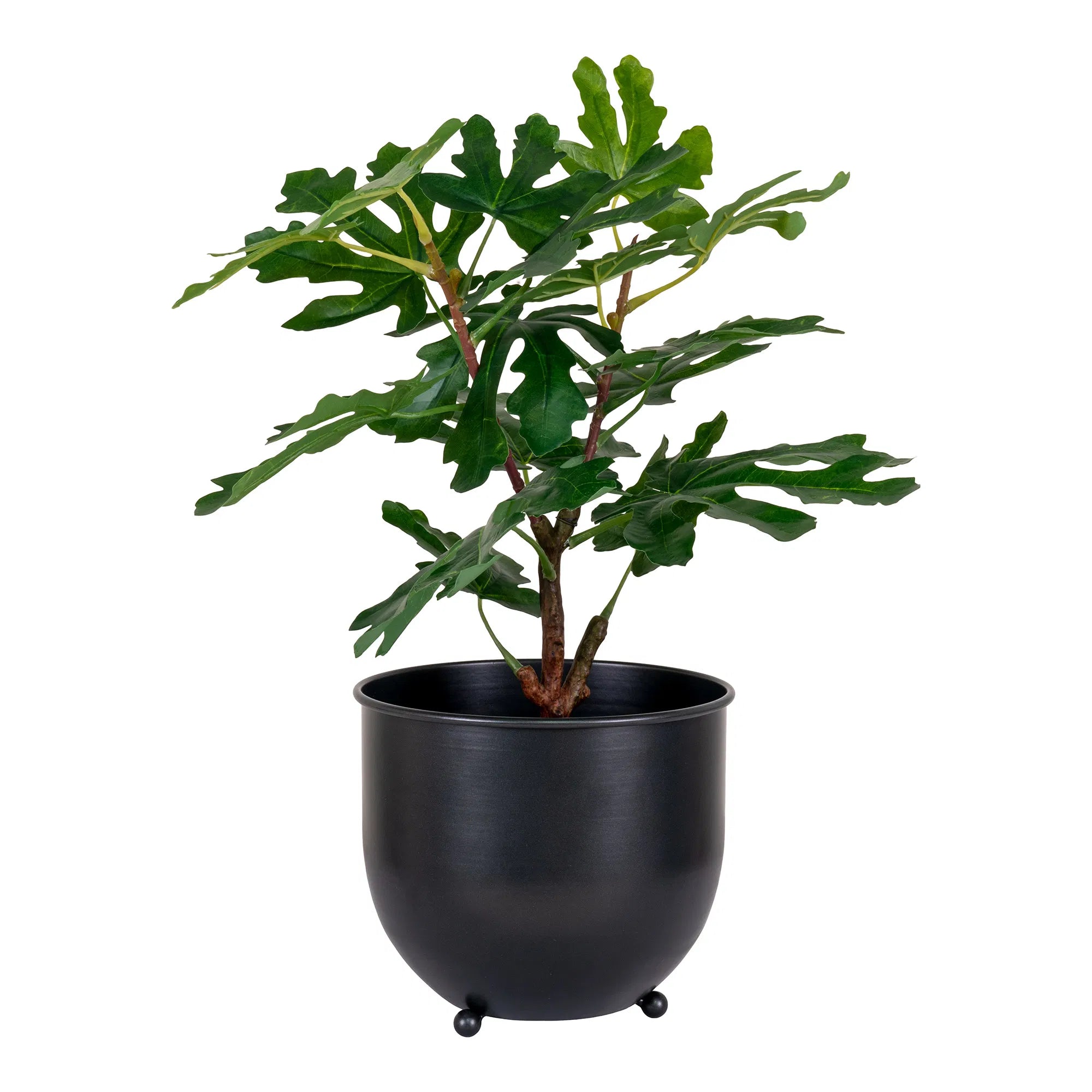 Kunstpflanze Feigenbaum – 60 cm mediterraner Charme für dein Zuhause