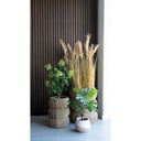Kunstpflanze Feigenbaum – 60 cm mediterraner Charme für dein Zuhause