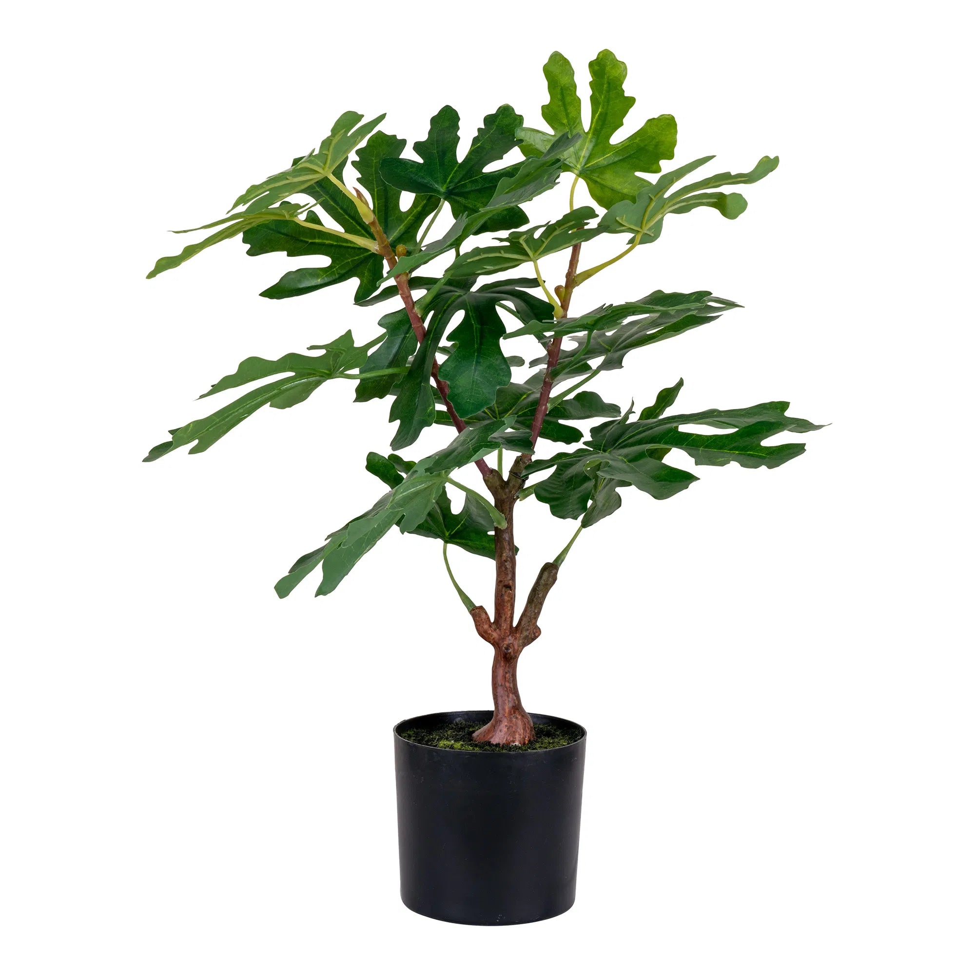 Artificial Fig Tree – 60 cm Mediterranean Charm for Your Home