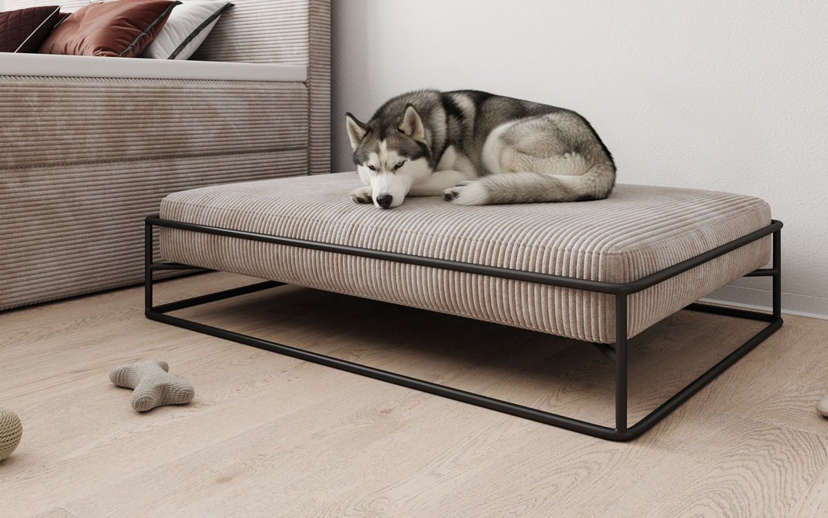 Dog bed Lumo 80 × 100 cm in Corduroy