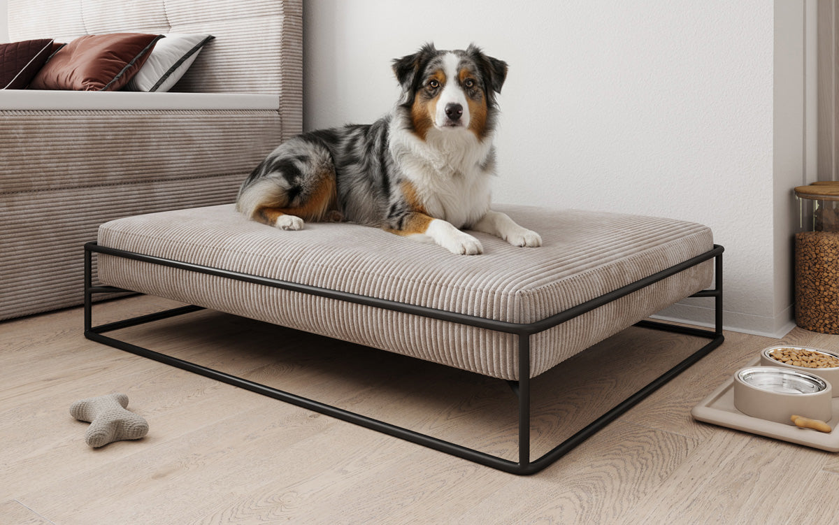 Dog bed Lumo 110x80 cm in Corduroy
