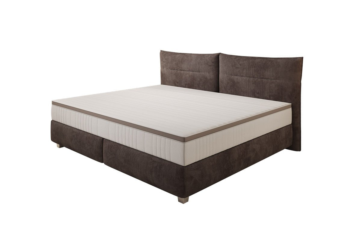 Family Box Spring Bed Aurelio in 220/240x200 in Corduroy