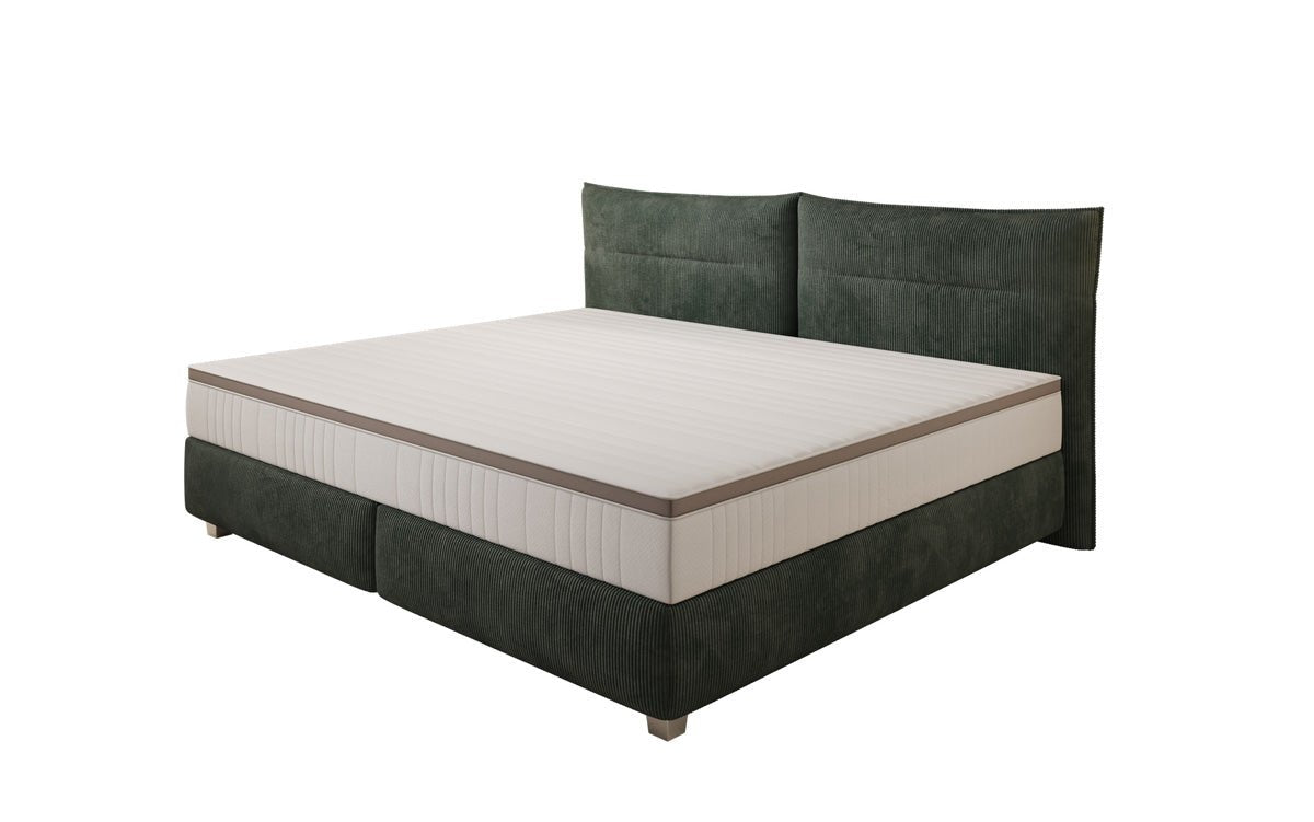 Family Box Spring Bed Aurelio in 220/240x200 in Corduroy