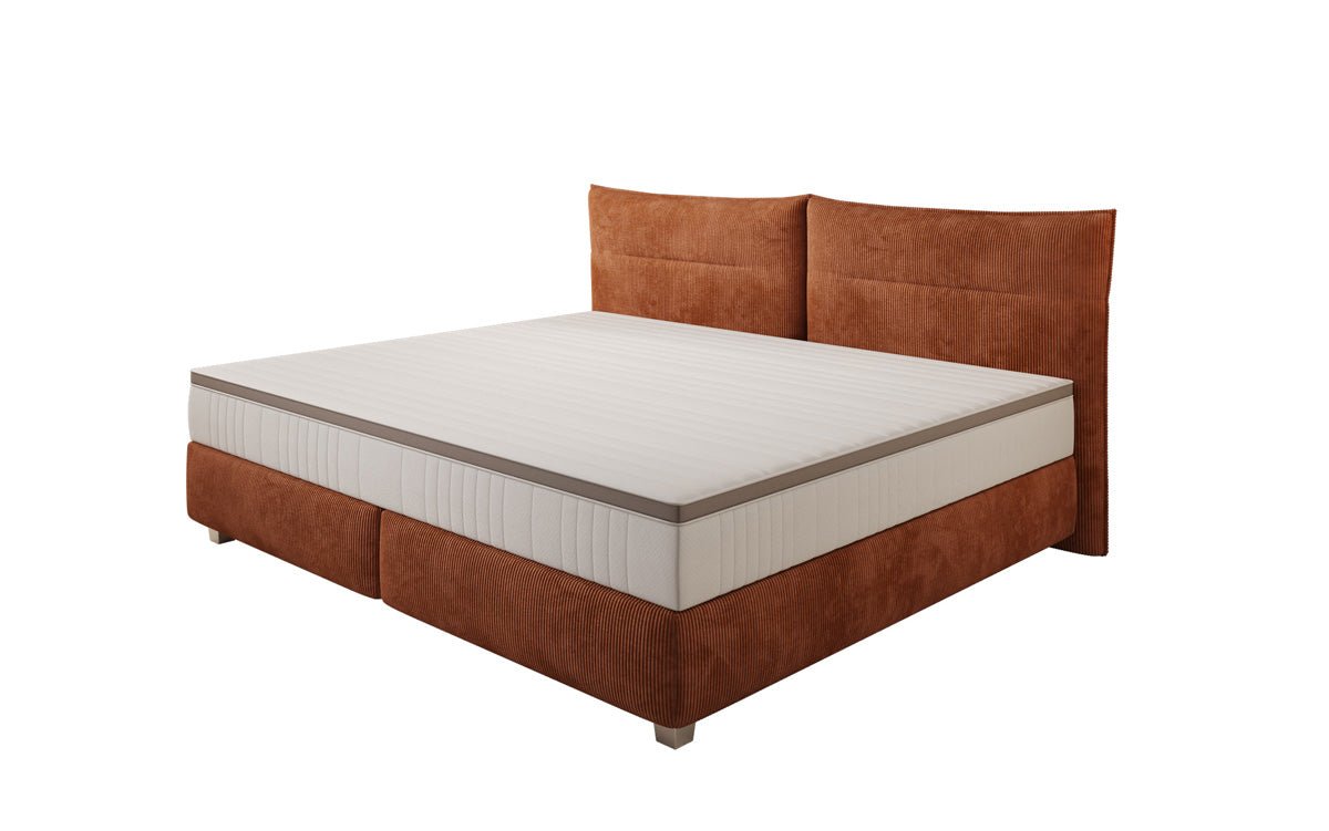 Family Box Spring Bed Aurelio in 220/240x200 in Corduroy