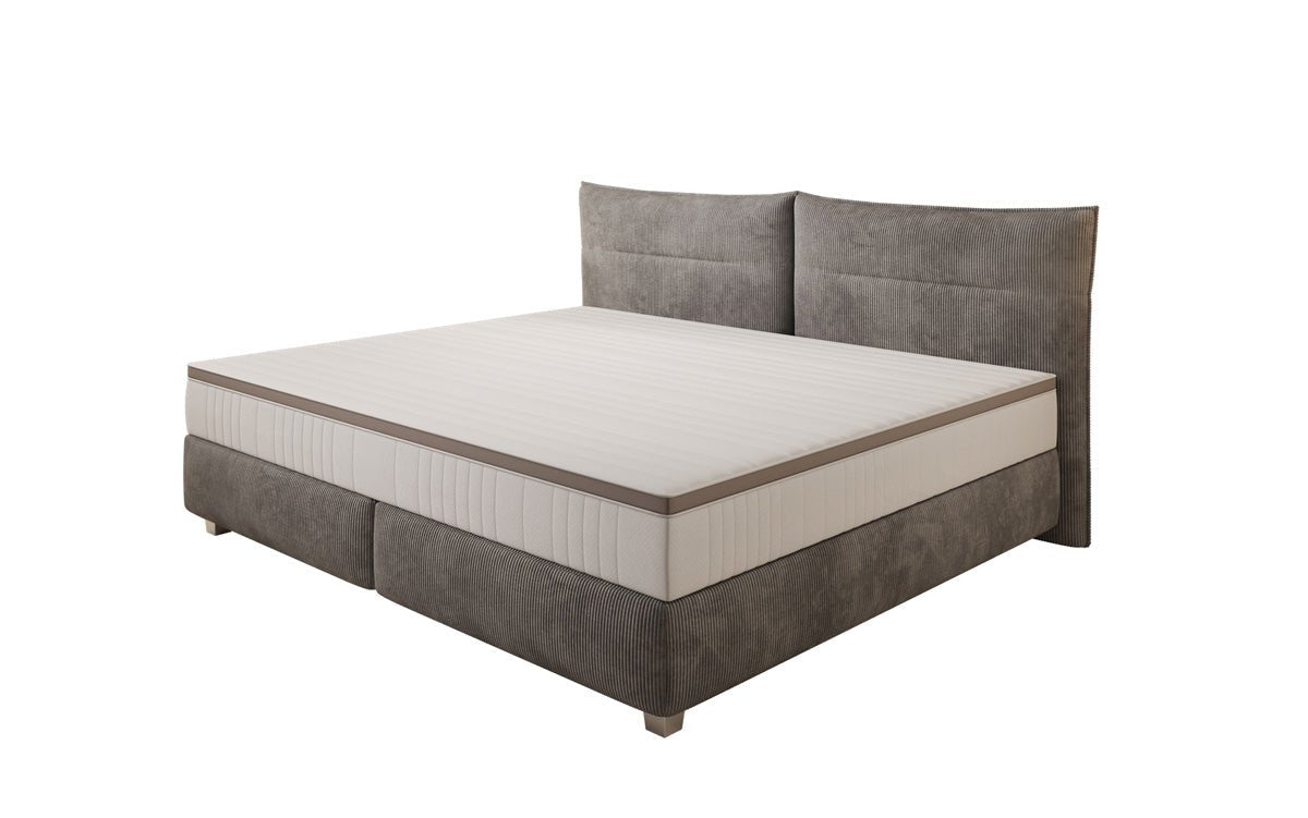 Family Box Spring Bed Aurelio in 220/240x200 in Corduroy