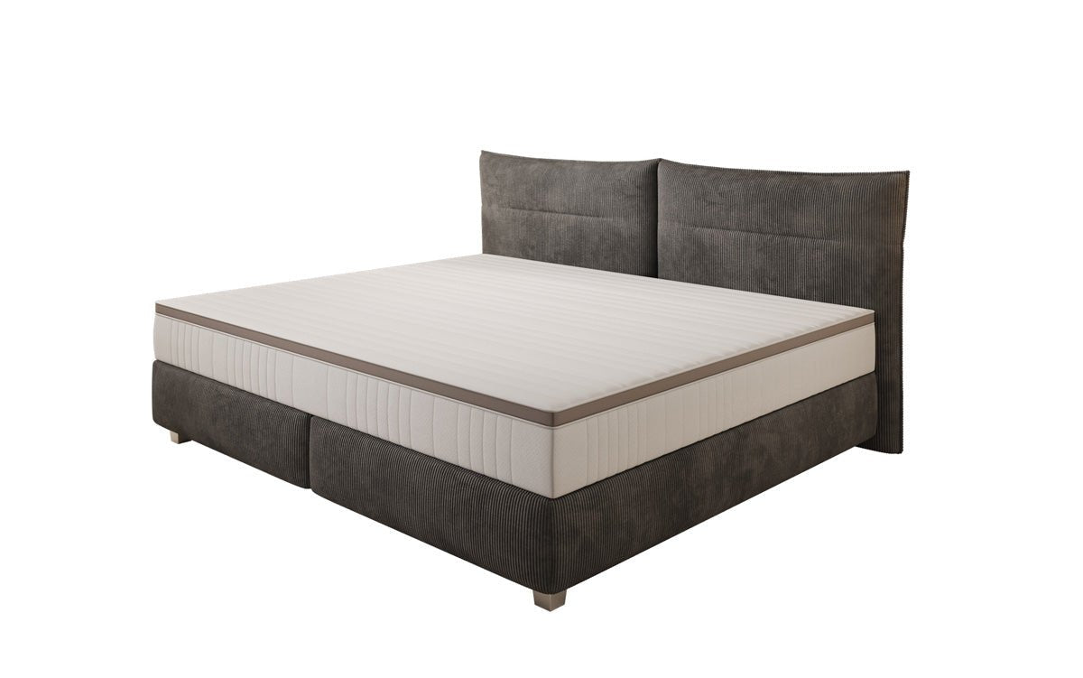 Family Box Spring Bed Aurelio in 220/240x200 in Corduroy