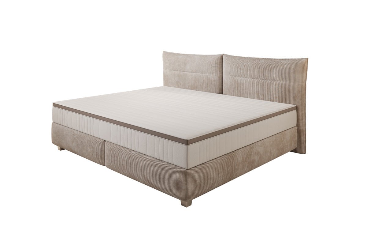 Family Box Spring Bed Aurelio in 220/240x200 in Corduroy