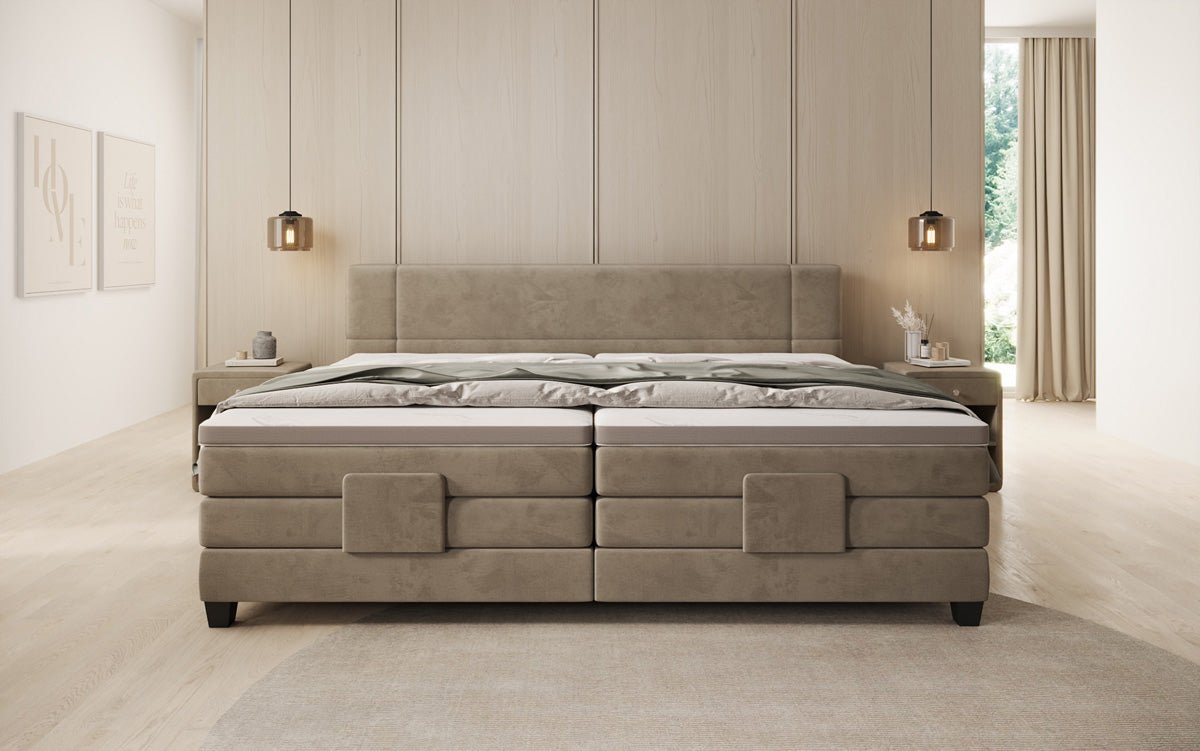 Family Box Spring Bed Noela 220/240x200 electrically adjustable in velvet