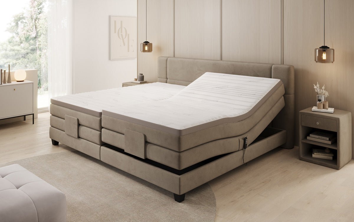 Family Box Spring Bed Noela 220/240x200 electrically adjustable in velvet