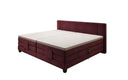 Family Box Spring Bed Noela 220/240x200 electrically adjustable in velvet