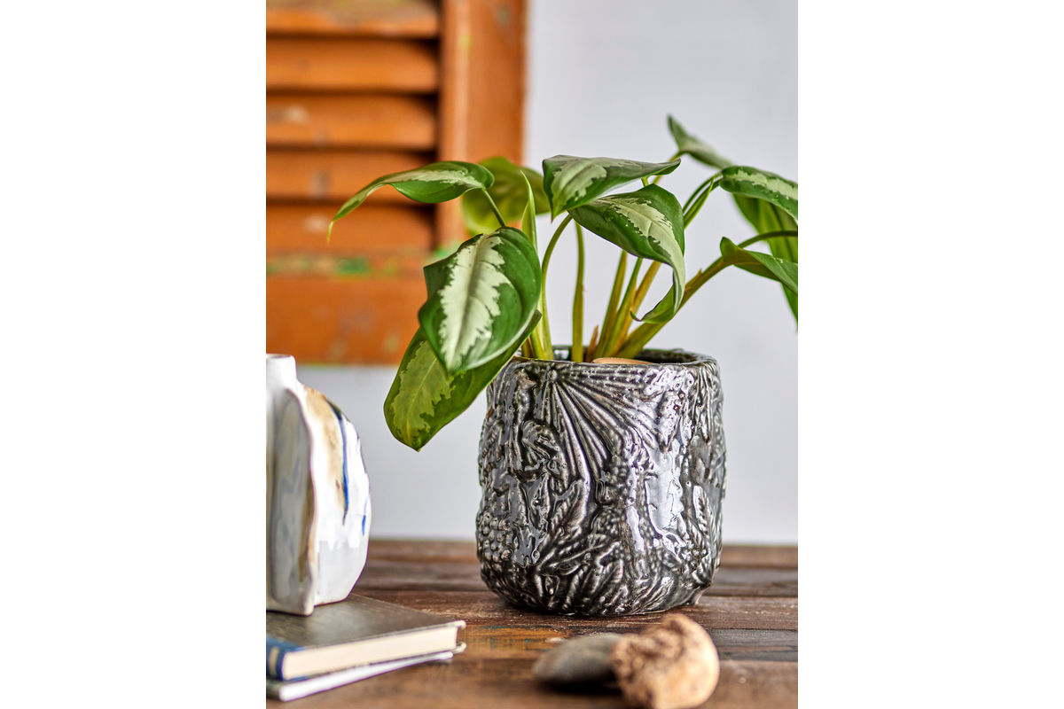 Flower Pot Nikki – Botanical Pattern