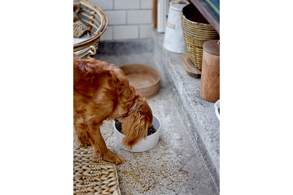 Pet Bowl Benni – Stoneware with Reactive Glaze